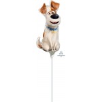 A35 13" Secret Life Of Pets Max Mini Shape