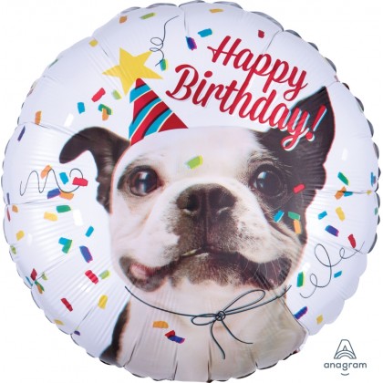 S40 17" Happy Birthday Dog Standard HX®