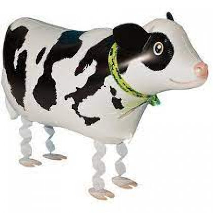 Mini Cow Walker