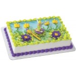 Birthday Party Supplies