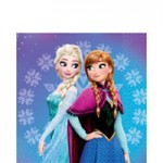 Birthday Party Supplies