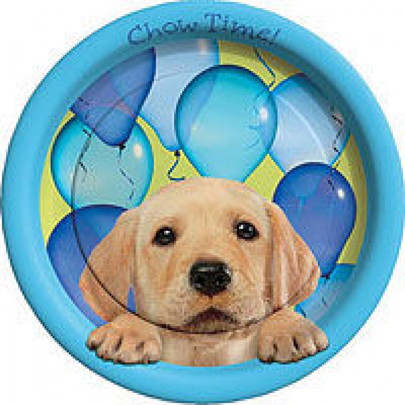 Birthday Party Supplies