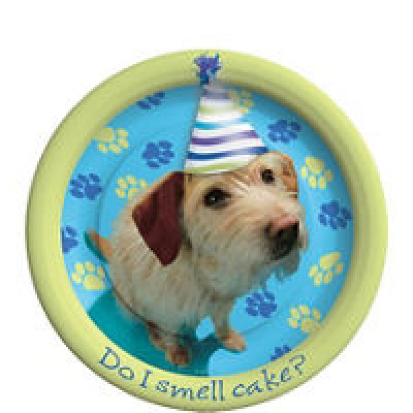 Birthday Party Supplies