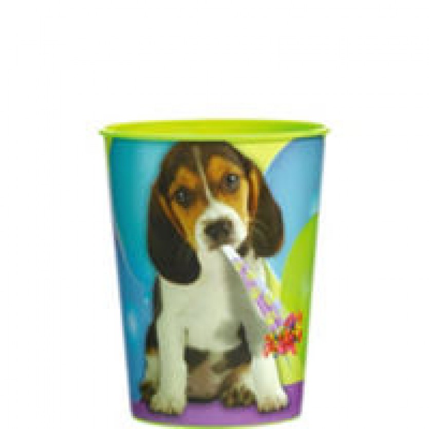 Birthday Party Supplies