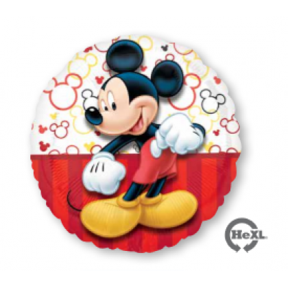 S60 17" Mickey Portrait Standard HX®