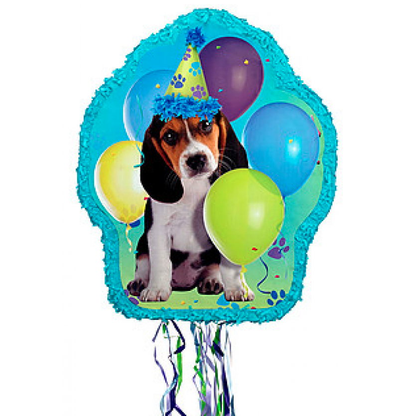 Birthday Party Supplies