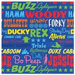 Birthday Party Supplies